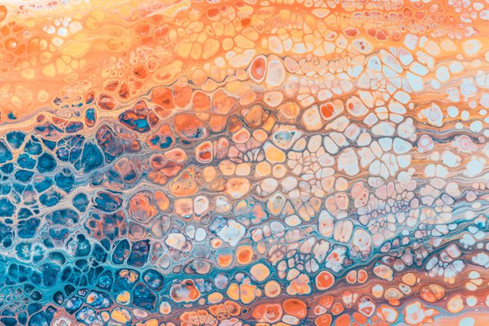 Infections pawel-czerwinski-LyZLaA5jtiY-unsplash